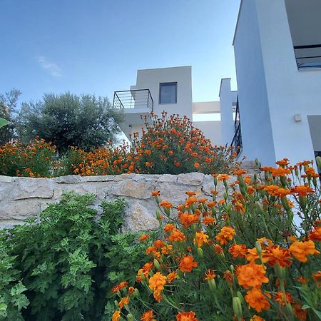 Ionian Sea Villas Palairos Bagian luar foto