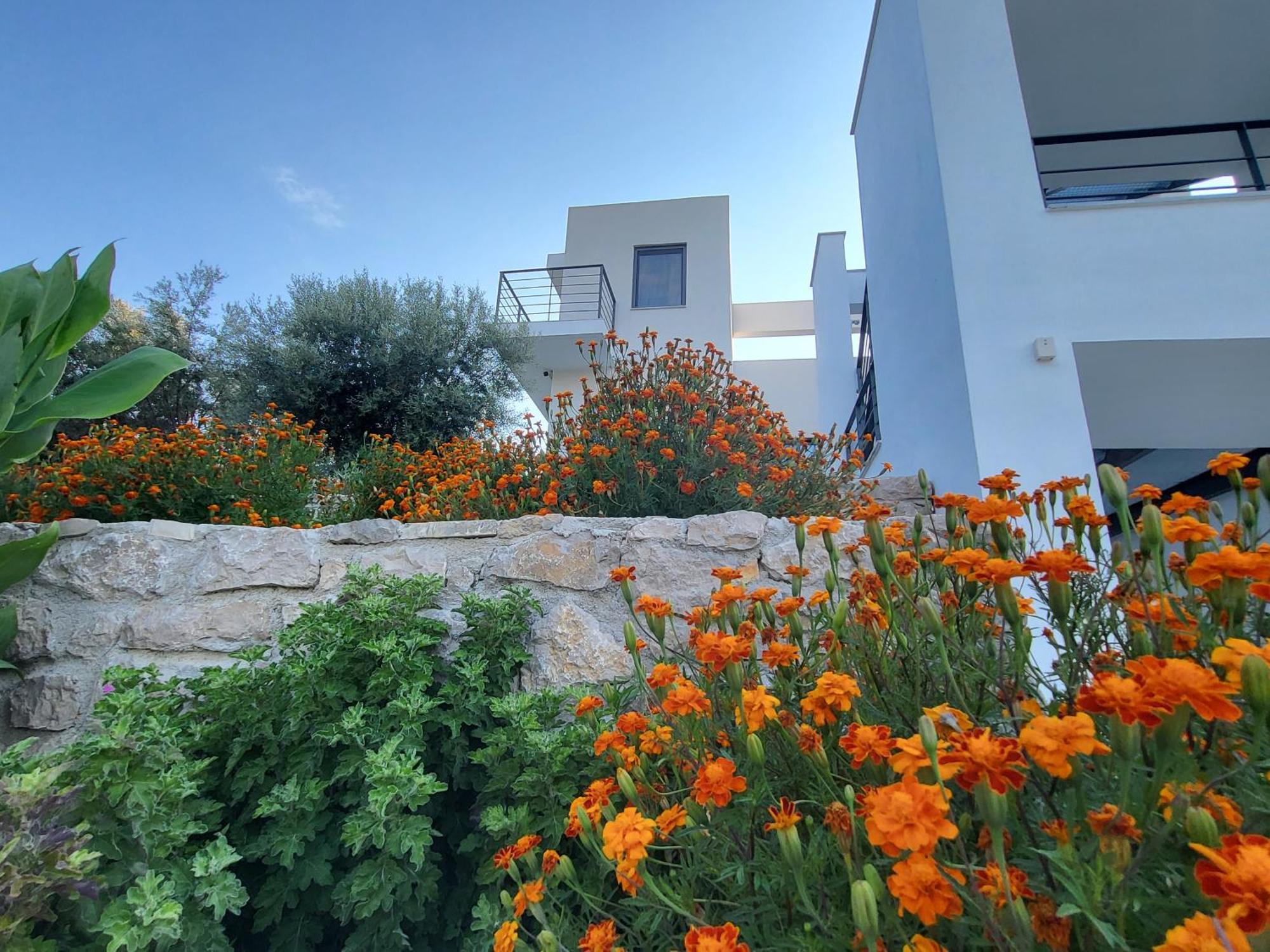 Ionian Sea Villas Palairos Bagian luar foto